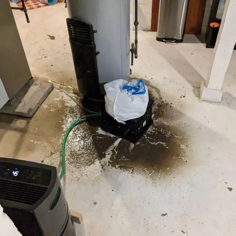 Sewage Backup Cleanup Service in Ahtanum, WA